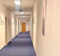 Office corridor with blue carpet and white walls.