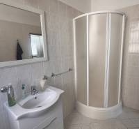 A bathroom in the office with a shower, a sink, and a large mirror on the wall.