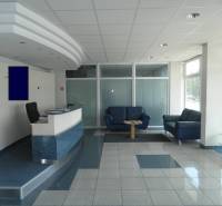 Reception with sofas in offices, bright spaces, glass partitions.
