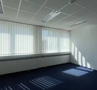 Offices with carpeted floors and shading blinds, illuminated by natural light.