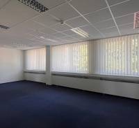 Empty offices with blue carpet, vertical blinds, and a suspended ceiling.