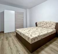 Bedroom in a 2-room apartment with a bed and a wardrobe, floor with wood decor.