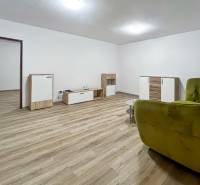 Living room of a two-room apartment with a wooden decor floor and a green armchair.