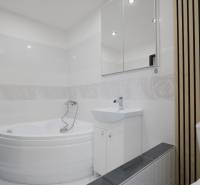Bathroom with a bathtub and a sink in a 2-room apartment with a wooden decor on the wall.
