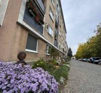 The exterior of an apartment building on SNP Street in Šahy with flowers and parked cars.