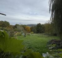 A garden at the cottage in Dolné Rykynčice with a green lawn and trees in the background.