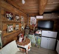 Interior of a cabin with a chair, table, and television, floor with wooden decor.