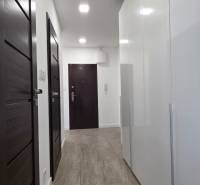 A narrow hallway of a 3-room apartment with dark doors and a wooden decor floor.