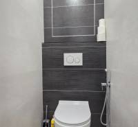 Bathroom with toilet, gray tiles, flooring, and sanitary ware, ideal for a 3-room apartment.