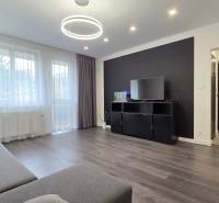 A living room in a three-room apartment with a sofa, television, and wooden decor flooring.