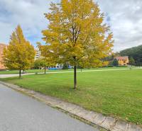 Exterior on Exnárova Street in Prešov, with apartment buildings and greenery in the background.