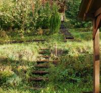 Stairs leading through a sloping garden with lush vegetation in Budatín, Žilina.