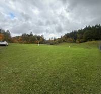 Green meadow near the forest in the Púchov, Zbora area, residential plots, with a car on the edge.