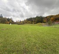 Green plot in Zbor in Púchov, suitable for living, surrounded by trees.