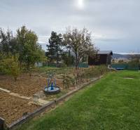 Garden with fruit trees and a lawn on A. Hlinka Street in Zvolen.