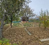Fruit trees and garden beds in the gardens on A. Hlinka Street in Zvolen.
