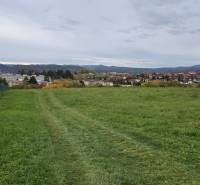 Gardens in Zvolen on A. Hlinka Street with a view of the surrounding landscape.