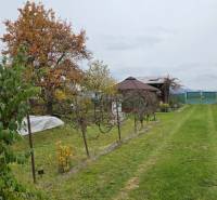 Gardens on A. Hlinka in Zvolen with a lawn, trees, vines, and a gazebo.