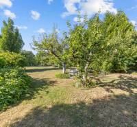 A garden with a bench surrounded by trees and shrubs in a family house on Senecká Street in Pezinok.