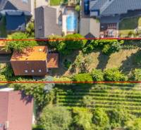 A family house on Senecká Street in Pezinok with a garden full of greenery.
