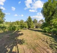Garden space at a family house on Senecká Street in Pezinok with trees and a lawn.