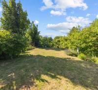 A garden in a family house on Senecká Street in Pezinok with trees and a lawn.