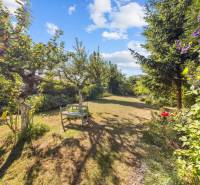 The garden of a family house on Senecká Street, Pezinok, with a bench under fruit trees.
