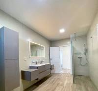 A bathroom in a family house with a wooden decor floor, a mirror, and a shower corner.