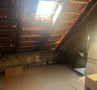 An attic with an uncovered roof and a skylight in a studio apartment.