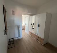 A hallway with a white wardrobe and a wooden decor floor in a studio apartment.
