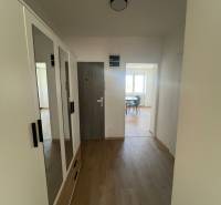 Hallway of a 1-room apartment with a wooden decor floor and a large wardrobe.