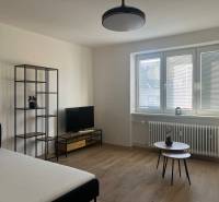 Living room in a studio apartment with a bed, television, and wooden decor flooring.
