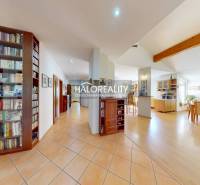 Spacious interior of a family house with a library, dining room, and wooden decor flooring.