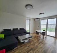 Living room in a family house with a sofa, table, and wooden decor flooring.