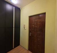 Entrance hall in a studio apartment with wood-patterned flooring and a dark wardrobe.