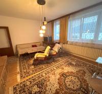 Obývačka v rodinnom dome s kobercami, pohovkou a závesmi, podlaha s dreveným dekorom.