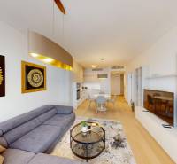 Living room in a two-room apartment with a wooden decor floor, gray sofa, and golden decorations.