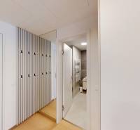 Hallway with wood-patterned flooring, a coat rack, and open doors to the bathroom in a 2-room apartment.