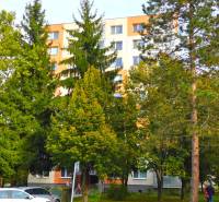 Apartment building among the trees on Trenčianska Street in Nová Dubnica.