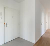 A hallway in a 4-room apartment with a wooden decor floor and white doors.