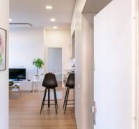 Interior of a 2-room apartment with a wooden decor floor, paintings, and a kitchen area.
