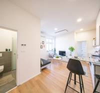 Living room and kitchen in a two-room apartment with a wooden decor floor.
