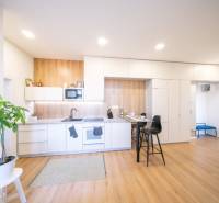 Kitchen in a 2-room apartment with a wooden decor floor and a houseplant.