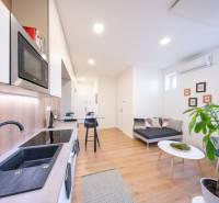 Kitchen in a 2-room apartment with wood-patterned flooring, dining area, toilet, and sofa.