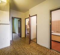 A hallway in a 3-room apartment with a wooden decor floor and entrances to the rooms.