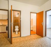 In the renovated 3-room apartment, you can see the kitchen, bathroom, and toilet.