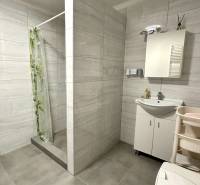 A bathroom with a shower and a sink in a family house, light tiles, gray flooring.