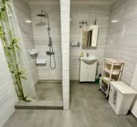 A bathroom in a family house with a large shower and a mirror above the sink.