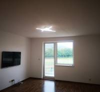 Living room in a three-room apartment with a wooden decor floor and a TV on the wall.