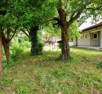 The garden of the cottage in Necpaly with a lawn, trees, and an adjacent building.